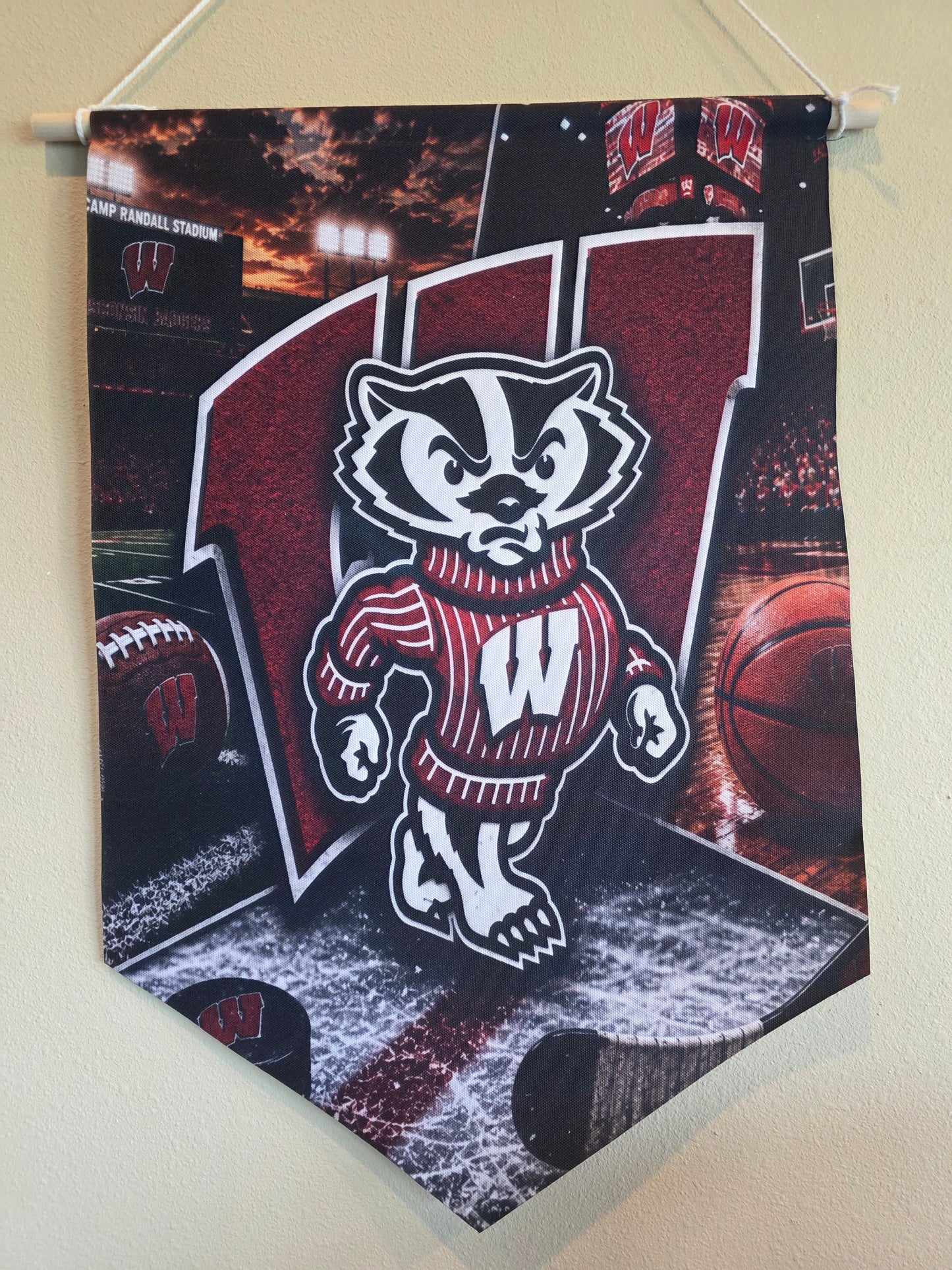 Bucky Canvas Banner