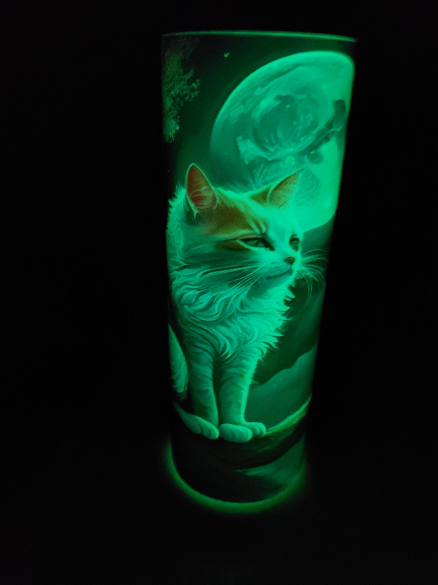 Glow in dark 20oz tumbler colorful cat
