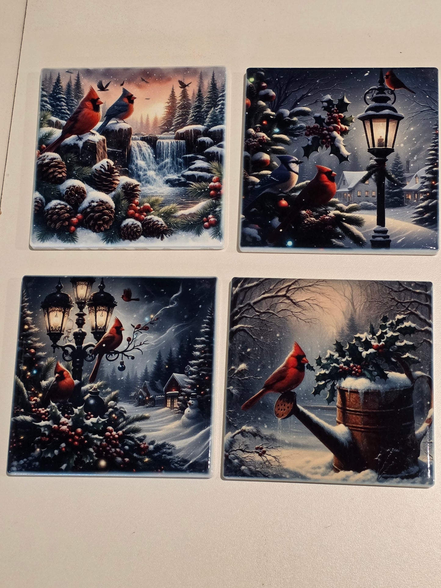 Scenery of cardinal coasters